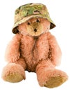 Teddy bear in a military hat