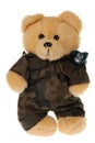 Teddy bear in military uniform isolated