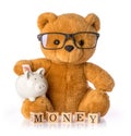 Teddy bear. Money savings concept isolated white background Royalty Free Stock Photo