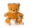 Teddy bear. Money savings concept isolated white background Royalty Free Stock Photo