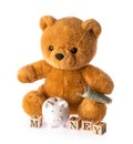 Teddy bear. Money savings concept isolated white background Royalty Free Stock Photo