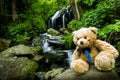 Teddy bear near cascade falls over mossy rocks Royalty Free Stock Photo