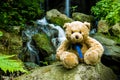 Teddy bear near cascade falls over mossy rocks Royalty Free Stock Photo