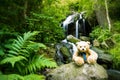 Teddy bear near cascade falls over mossy rocks Royalty Free Stock Photo