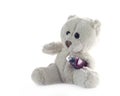 Teddy bear on neutral background