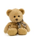 Teddy bear new 1