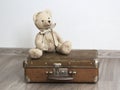 Teddy bear on an old leather suitcase Royalty Free Stock Photo