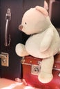 Teddy bear on old retro suitcase Royalty Free Stock Photo