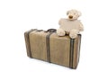 Teddy bear on an old vintage suitcase