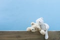 Teddy bear on old wood blue wall background. Royalty Free Stock Photo