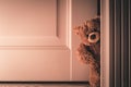 Teddy bear peeking out of the door