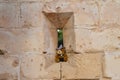 Teddy bear perched on an arrowslit castle window Royalty Free Stock Photo