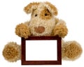 Teddy bear with photo frame Royalty Free Stock Photo