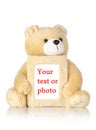 Teddy bear with photo frame Royalty Free Stock Photo