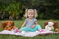 Teddy Bear Picnic Royalty Free Stock Photo