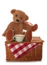 Teddy bear picnic tea party Royalty Free Stock Photo