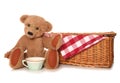 Teddy bear picnic tea party Royalty Free Stock Photo