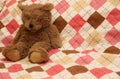 Teddy Bear on Pink Blanket