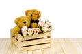 Teddy Bear and Pink Roses in Pine Wood Box on White Backgrou