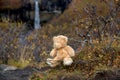 Teddy bear, posing in front of beautiful waterfall Svartifoss in Skaftafell national park in Iceland Royalty Free Stock Photo