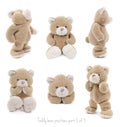 Teddy bear positions