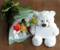 teddy bear with post card, your text, and red, yellow, lilac, white tulips Royalty Free Stock Photo