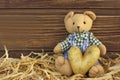 Teddy bear with potato heart