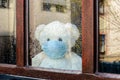 Teddy bear with protective medical mask looks out of the window with rain drops on quarantine. Stay home concept Royalty Free Stock Photo