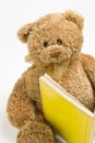 Teddy bear reading Royalty Free Stock Photo