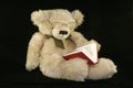 Teddy bear reading