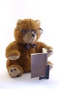 Teddy bear reading Royalty Free Stock Photo