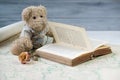 Teddy bear reading antique book on the old map