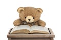 Teddy bear reading book isolated on white background Royalty Free Stock Photo