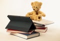 Teddy Bear Reading Digital Media