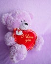 Teddy Bear and red heart I Love You - stock photos Royalty Free Stock Photo