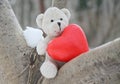 Teddy bear and red heart