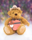 Teddy bear with Red heart shaped gift box Royalty Free Stock Photo
