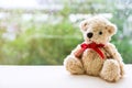 Teddy Bear with red ribbon sitting next to window