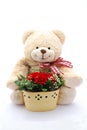 Teddy bear with red roses Royalty Free Stock Photo