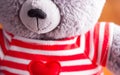 Teddy bear in red t-shitr Royalty Free Stock Photo
