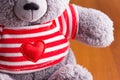 Teddy bear in red t-shitr Royalty Free Stock Photo