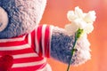 Teddy bear in red t-shitr Royalty Free Stock Photo
