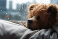 Teddy bear rests alone, rain streaked window, a tranquil cocoon Royalty Free Stock Photo