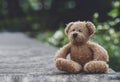 Teddy bear with sad face sitting on footpath, with blurry nature background, Loneliness brown bear doll sitting alone outside in