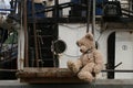 Teddy Bear Sailor Royalty Free Stock Photo