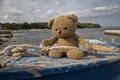 Teddy bear sailor Royalty Free Stock Photo