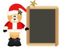 Teddy Bear Santa Claus with School Board