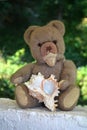 Teddy bear with seashell Royalty Free Stock Photo