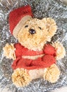 Teddy bear on silvery tinsel