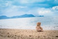 Teddy bear sit alone at the seashore Royalty Free Stock Photo